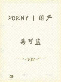 PORNY | 国产